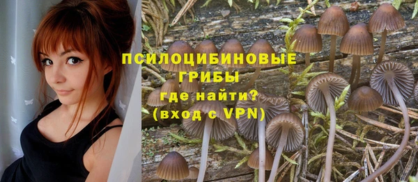 бошки Михайлов