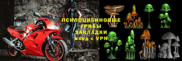 молекула духа Михайловка
